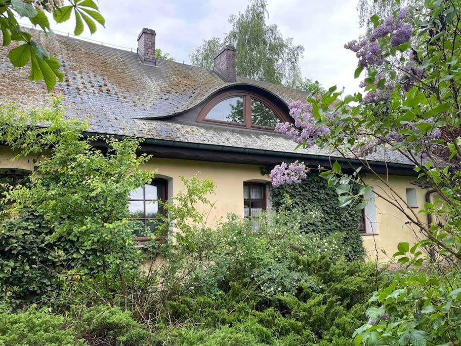 Komfortowy Dom W Lesie Miedzichowo Eksteriør billede